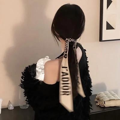 金刚斗恐龙
